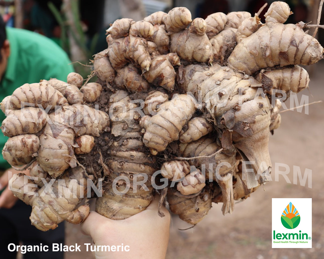 Lexmin® Black Turmeric with Piperine Powder